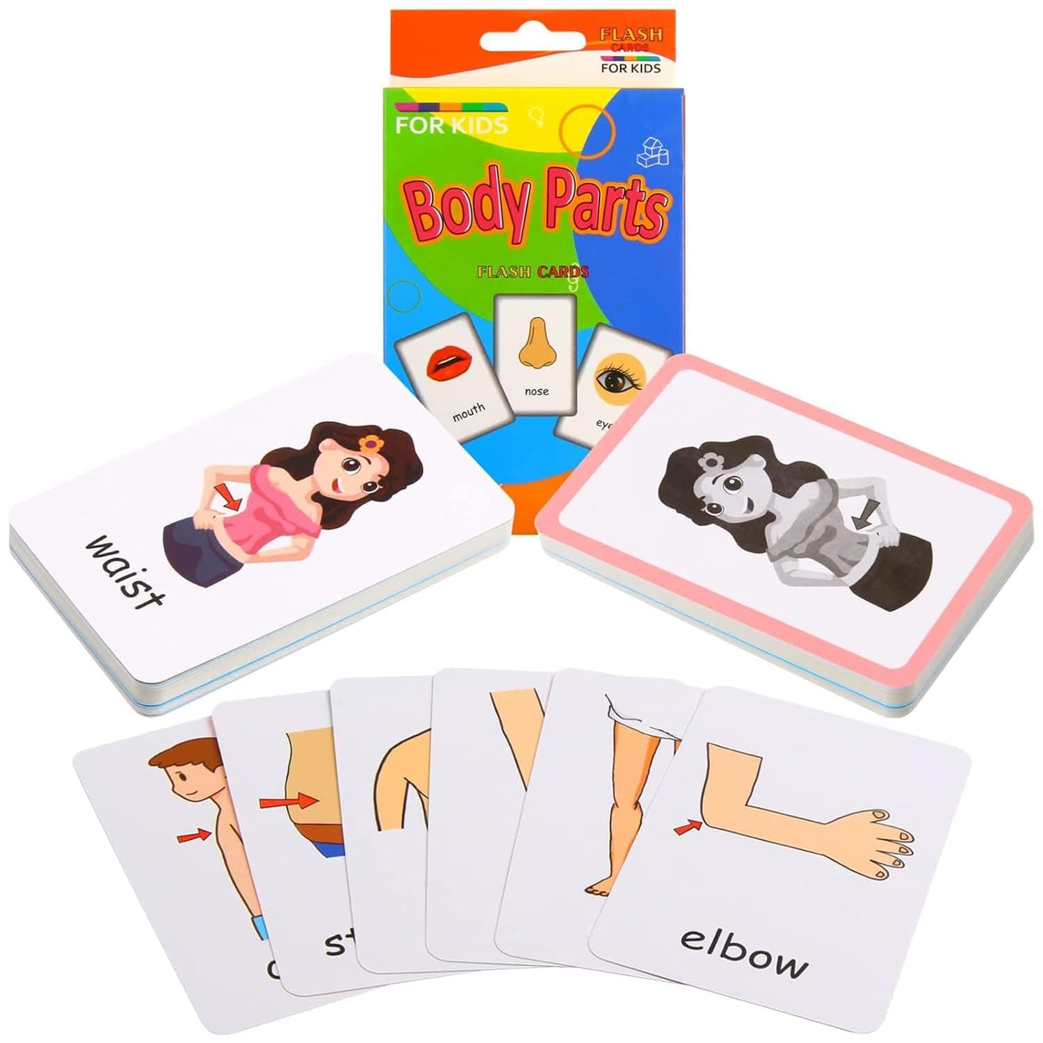 Joyzzz Flash Cards for Toddlers, 36 PCS Body Parts Learning Cards, Waterproof Toddler Learning Double-Sided Card, Pocket Card Learning Baby Toys, Preschool Educational Toys for Ages 2-4