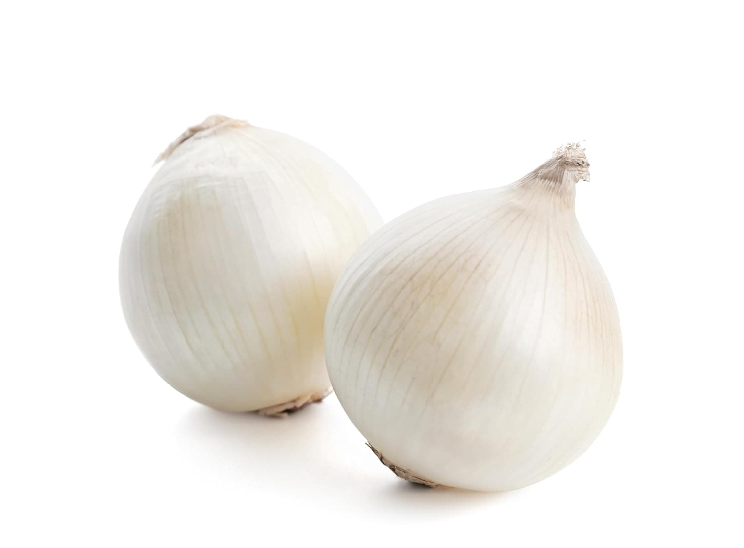 Fresh White Onion Local 2kg