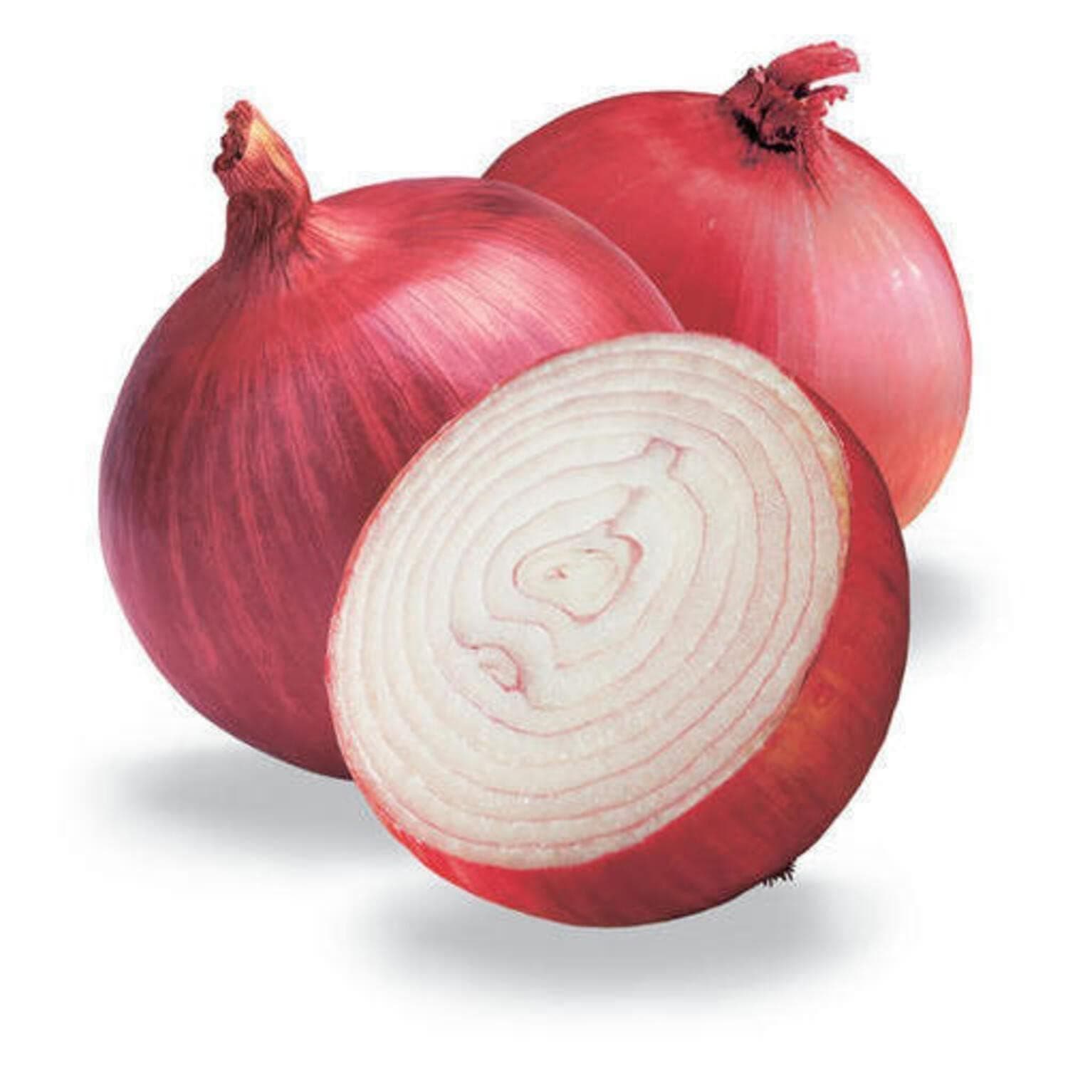 Fresh Red Onion Local 1000g