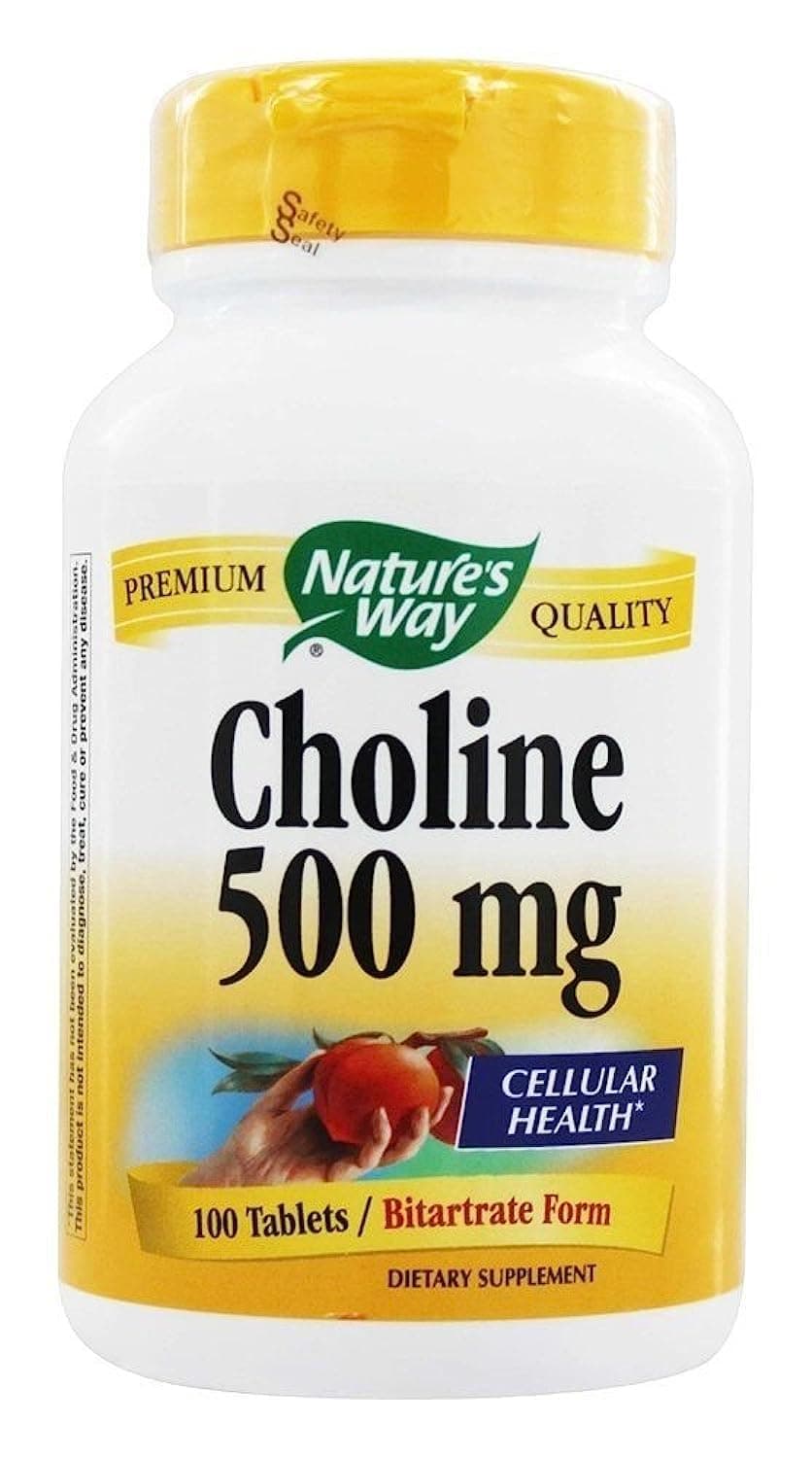 Nature's Way, Choline, 500 mg, 100 Tablets