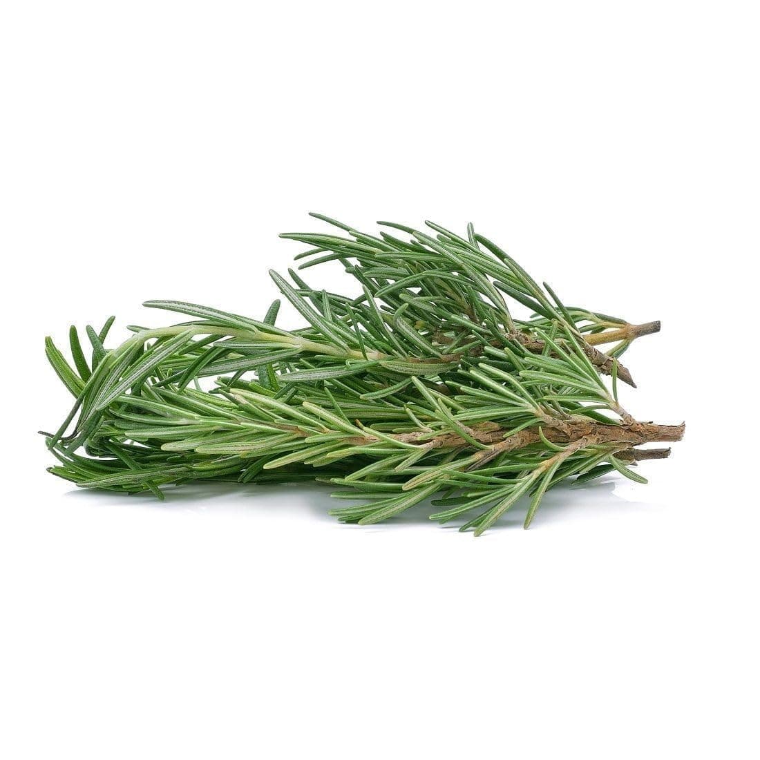 Fresh Rosemary Leaves Import 100g