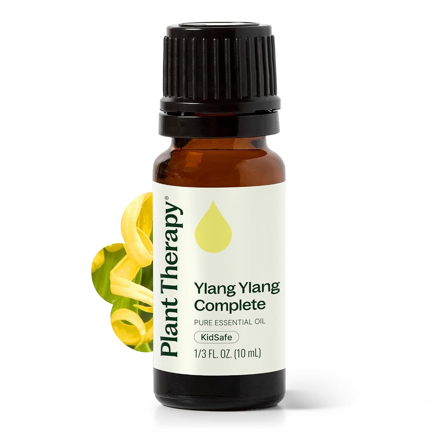 Plant Therapy Ylang Ylang Complete Essential Oil 100% Pure, Undiluted, Natural Aromatherapy, Therapeutic Grade 10 mL (1/3 oz)