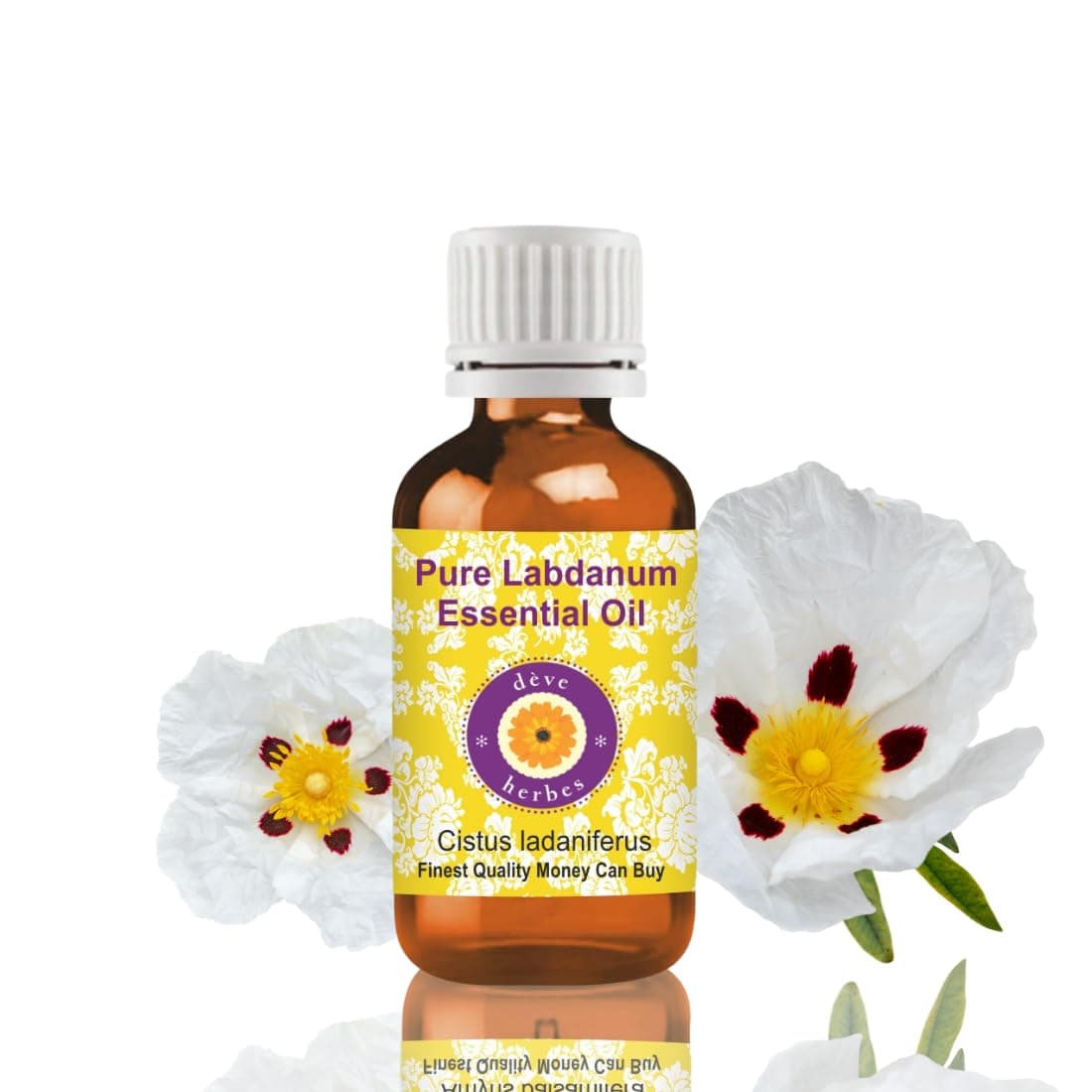 Deve Herbes Pure Labdanum Essential Oil (Cistus ladaniferus) Steam Distilled 30ml (1 oz)