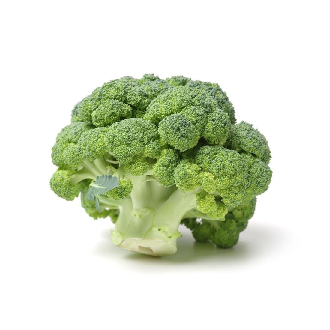 Fresh Broccoli Spanish 500g