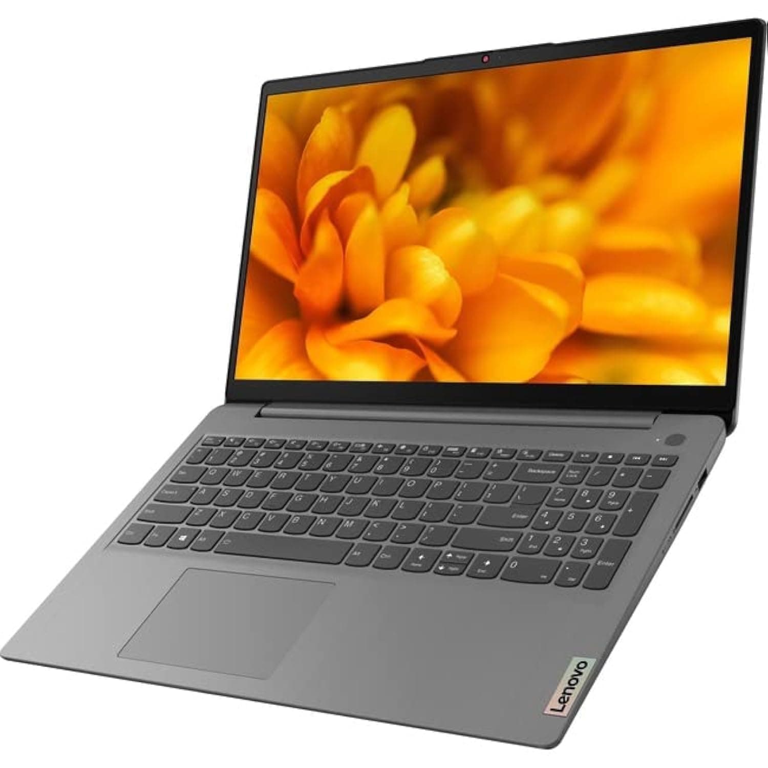 Lenovo IdeaPad 3 15ITL06 82H801EFUS 15.6" Notebook - Full HD - 1920 x 1080 - Intel Core i3 11th Gen i3-1115G4 Dual-core (2 Core) 3 GHz - 8 GB RAM - 256 GB SSD - Gray - Intel Chip - Windows