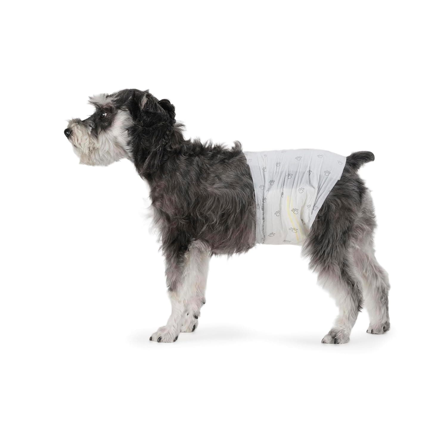 Amazon Basics Male Dog Wrap, Disposable Diapers, Medium, Pack of 30, White