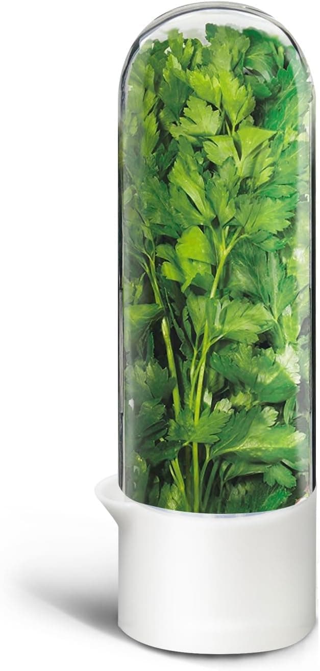 حافظة أعشاب للثلاجة من البلاستيك، قطعة واحدة، حجم طويل لحفظ الأعشاب والخضروات