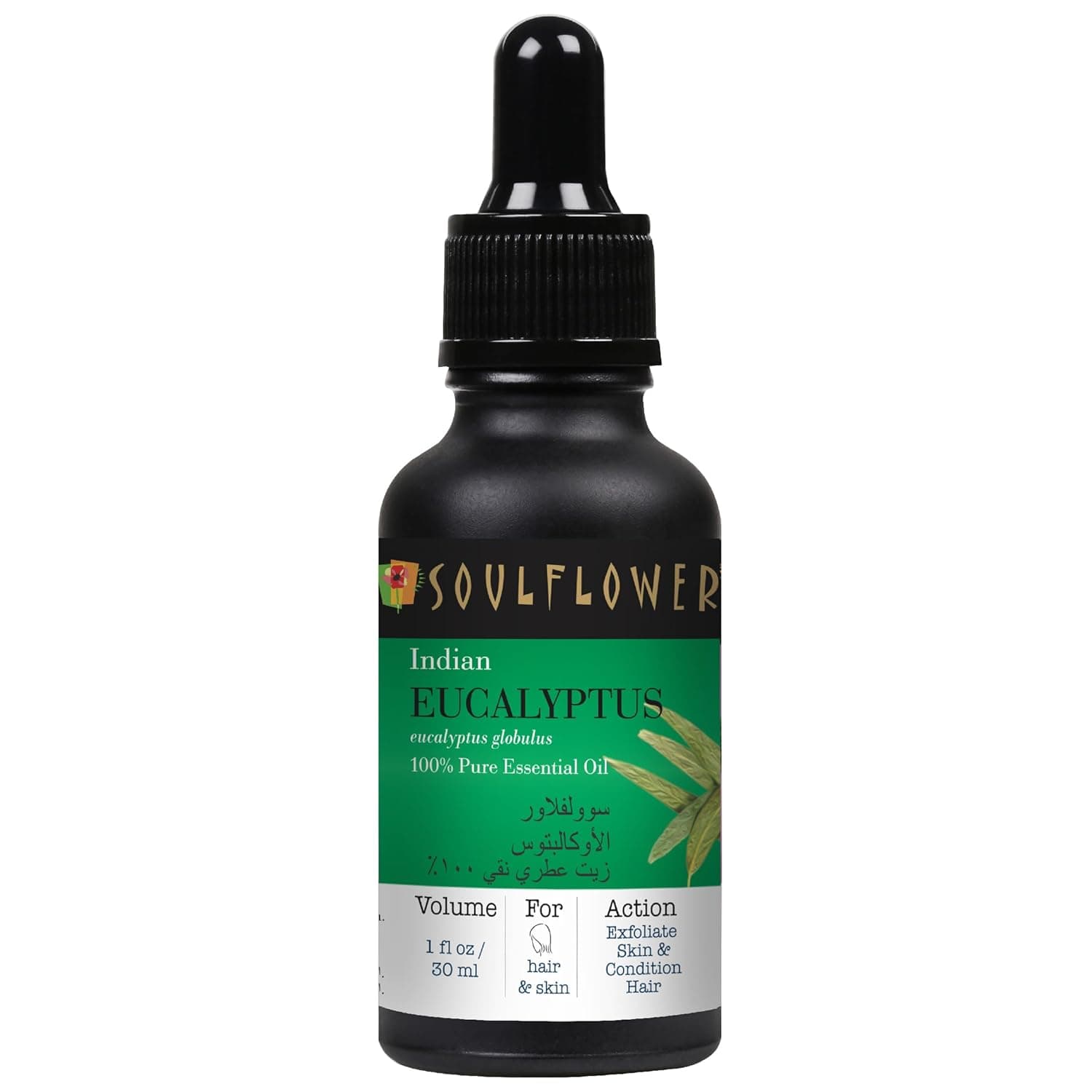 Soulflower Eucalyptus Essential Oil | For Cold & Cough-Camphor Family | 100% Natural, Pure, Organic | Halal Certified | Alcohol Free | Steam Distilled | 30 ml/ 1 Fl Oz - Free Glass Dropper