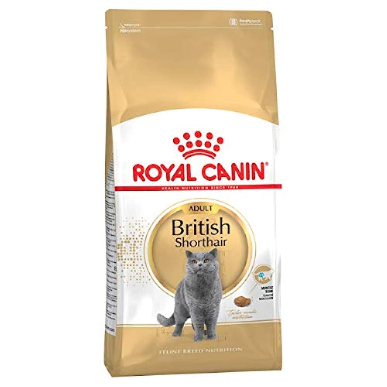 Royal Canin Dry Food British Shorthair Adult - 2 kg