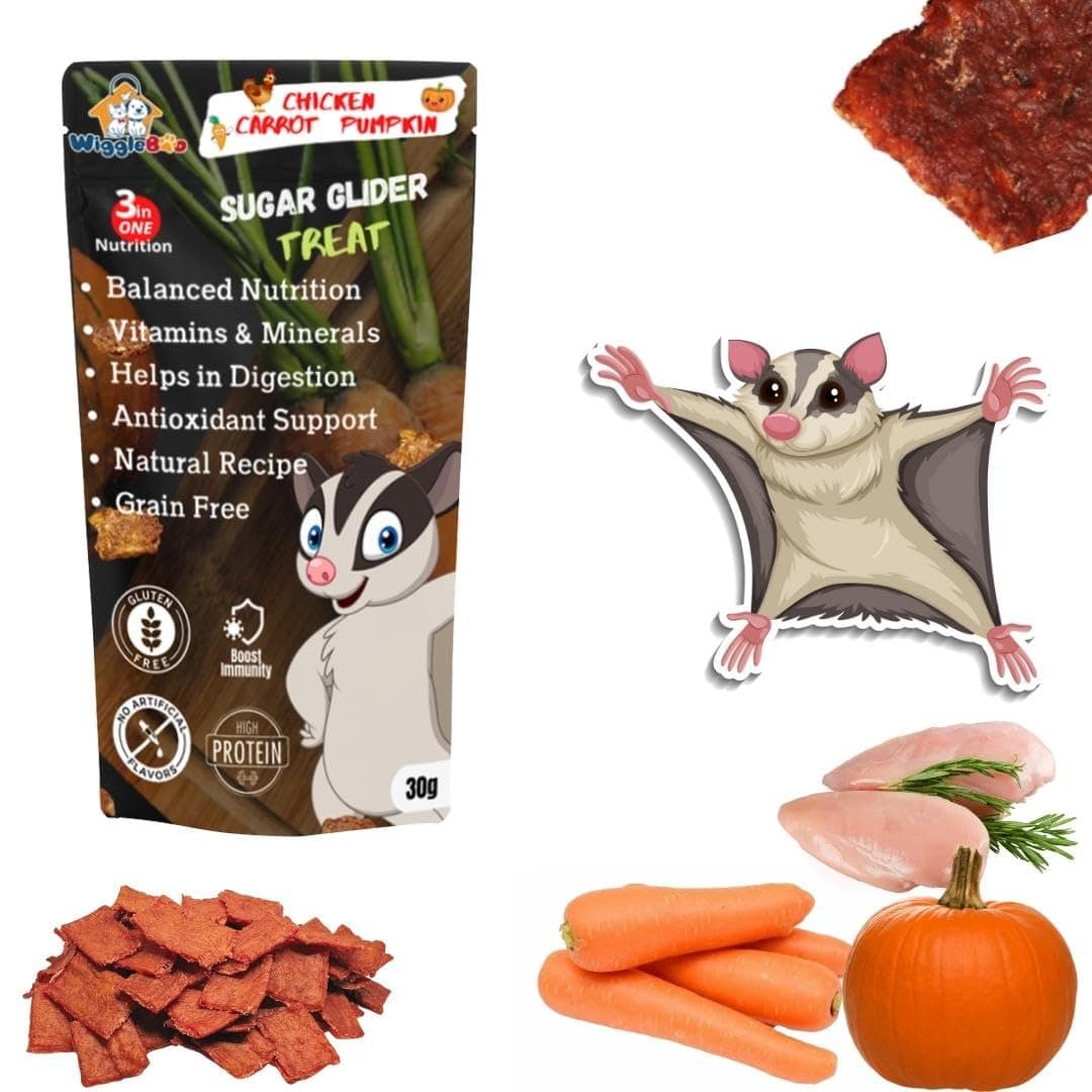 Chicken, Carrot & Pumpkin Sugar Glider Treat | Travel Pack | Protein Rich | Natural Detoxifier | Crunchy Food Snack | 30g