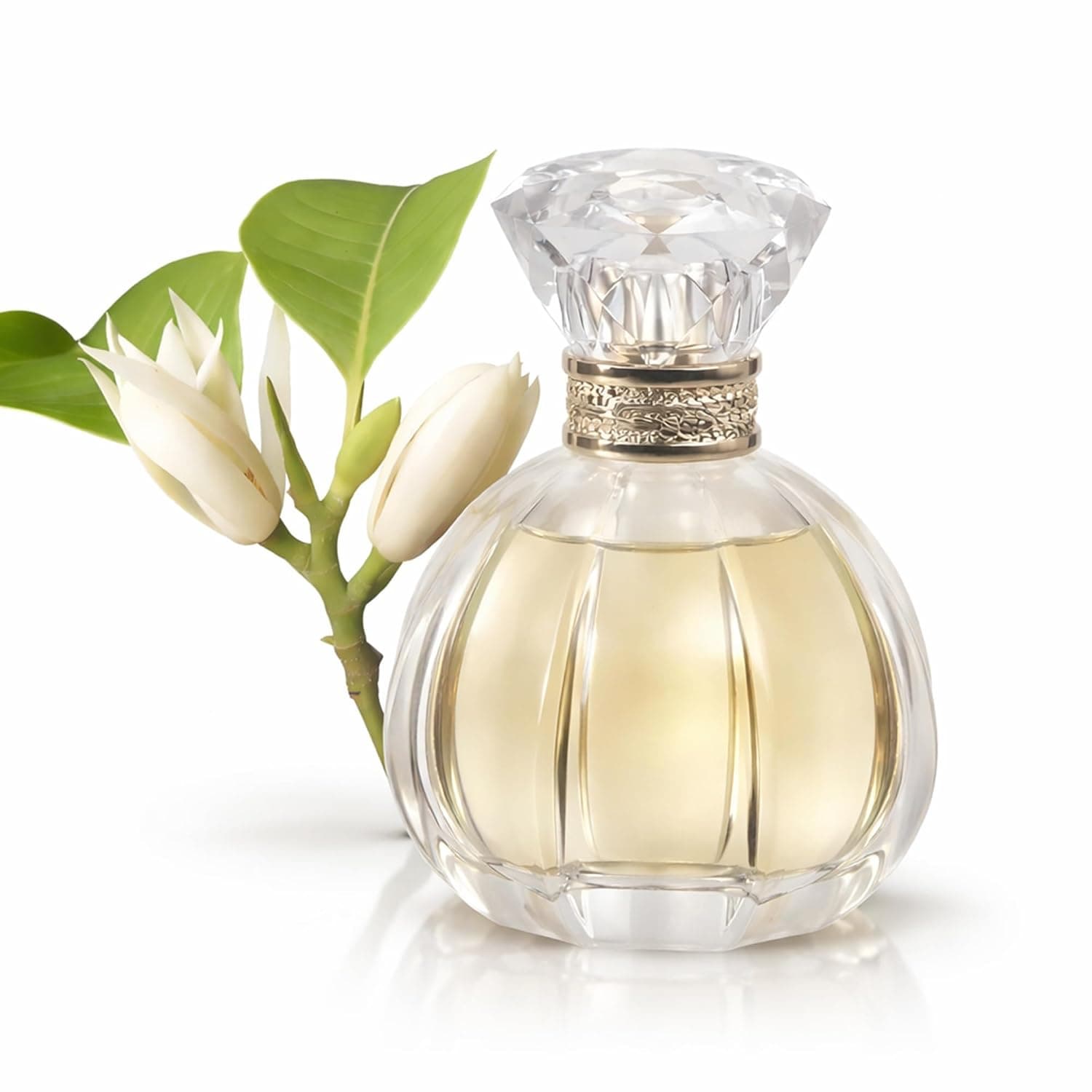 Eau de Parfum for Women 50ml – Long Lasting Floral Fragrance Spray | Soft & Fresh Scent | Office Friendly | Ladies Perfume Gift for Her | EDP 1.7 fl oz (Michelia Alba)