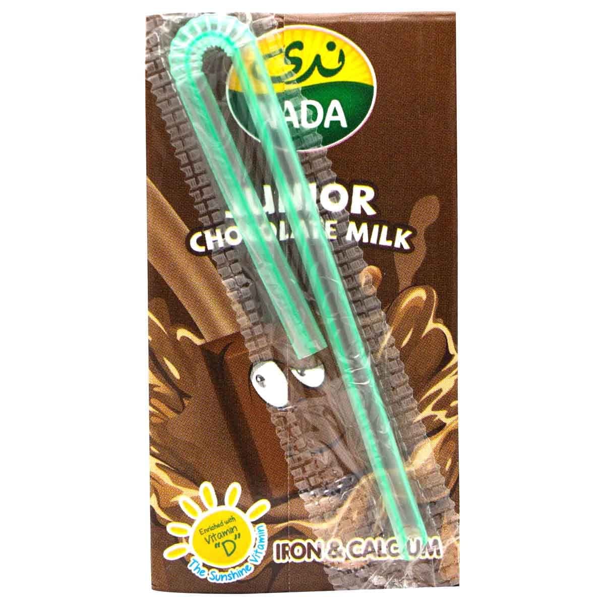 Nada Hut Chocolate Milk Tetra Pack, 125 ml - Pack of 1