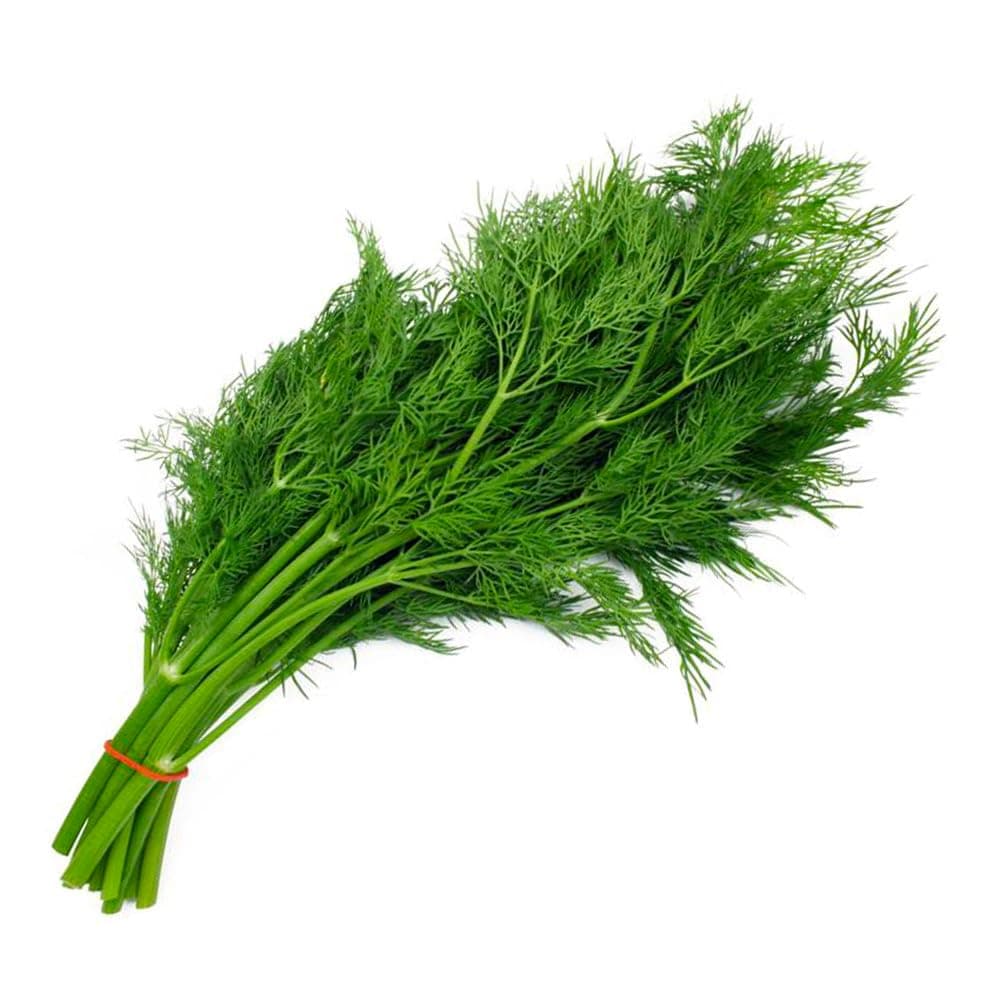 ZOD Shabat Green Leaves, SA, 1 Bunch