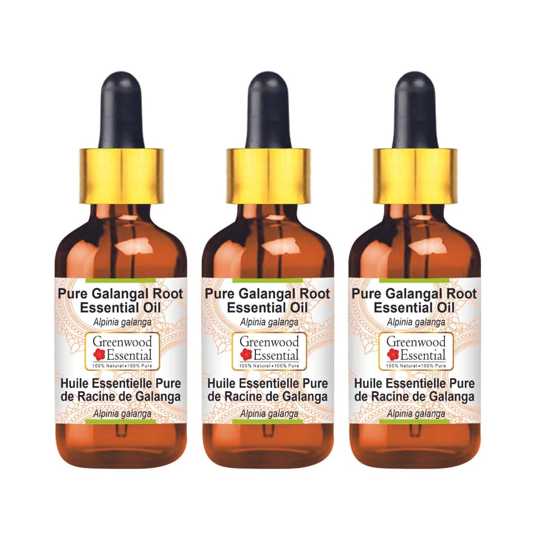 Greenwood Essential Pure Galangal Root Essential Oil (Alpinia galanga) Steam Distilled with Three Glass Dropper (Pack of Three) 100ml X 3 (10 oz)