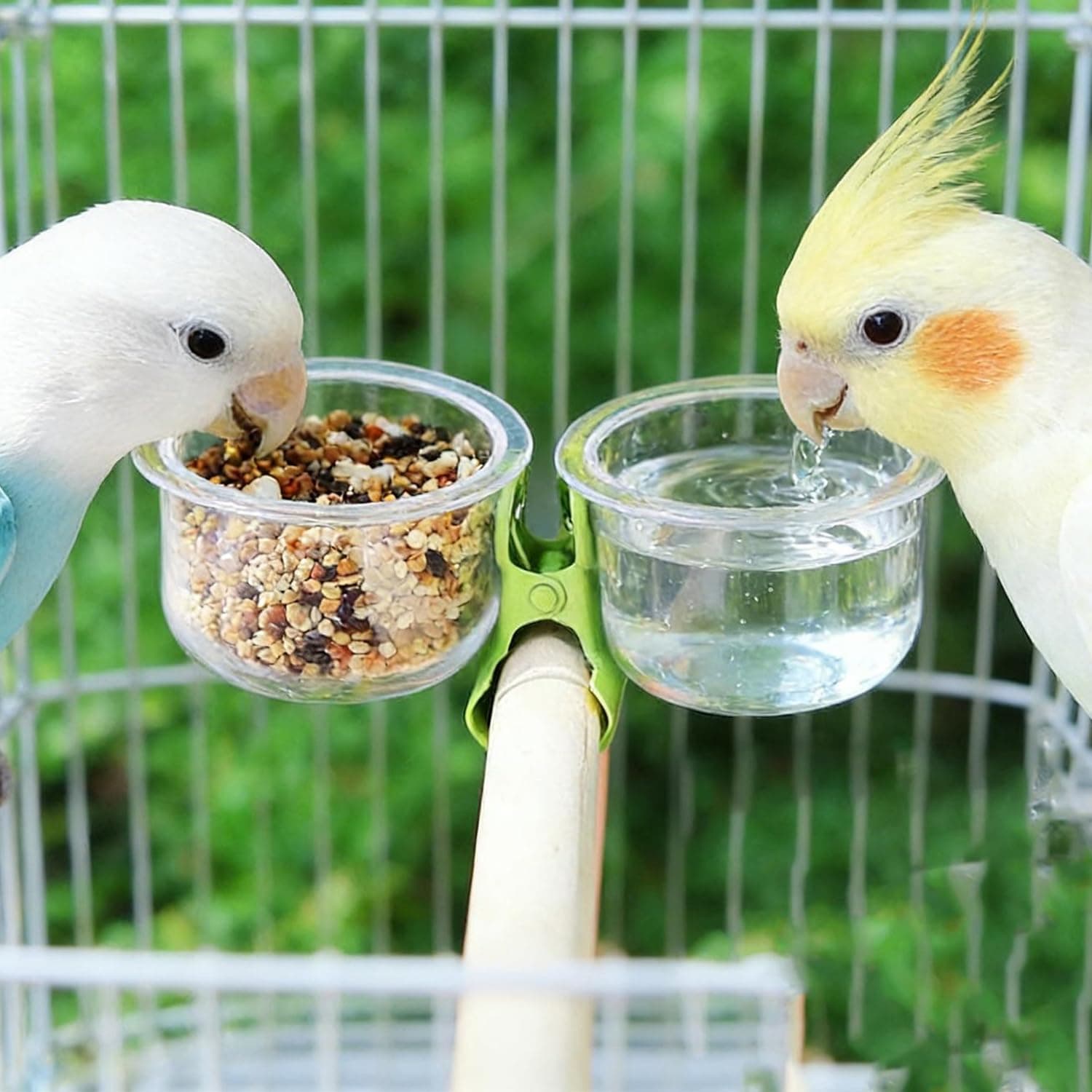 Parrot Food Bowl Feeder Cup with Clip Small Pet Bird Feeder Water Bowl Bird Cage Feeder Pet Feeding Basin Bracket Accessories