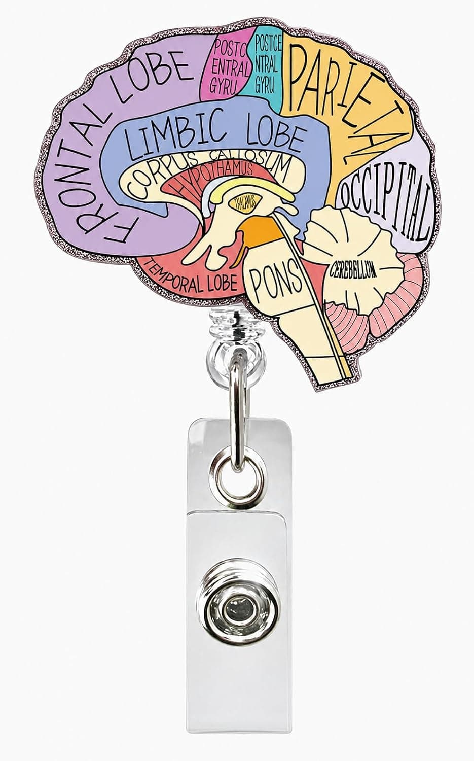 Anatomical Brain Retractable ID Card Holder | Color Printing, Smooth Pull Mechanism, For Medical Staff, Educational Design, Metal Buckle