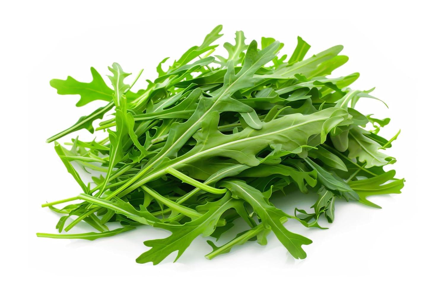 Fresh Baby Rocket Italy 125g