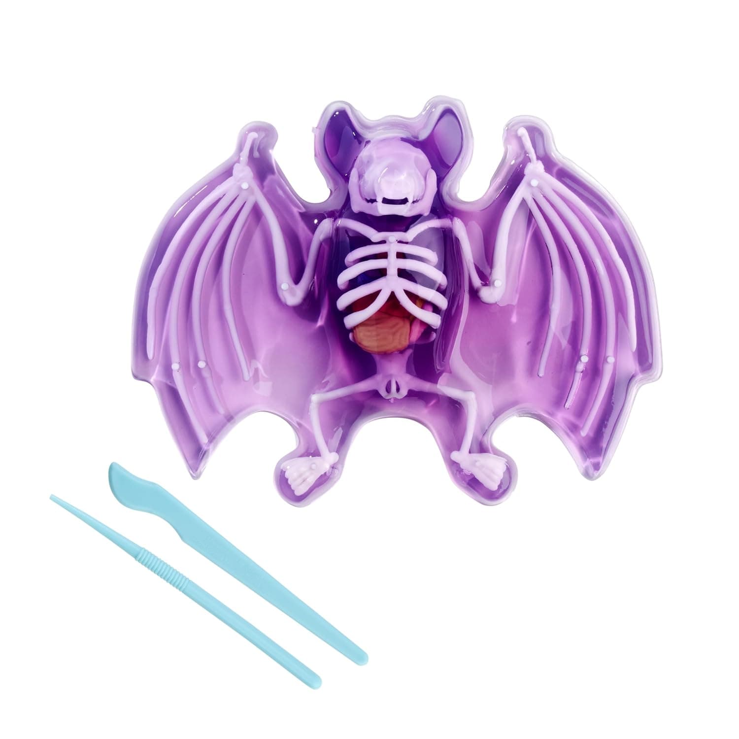 Scout Dissect-It Fledermaus