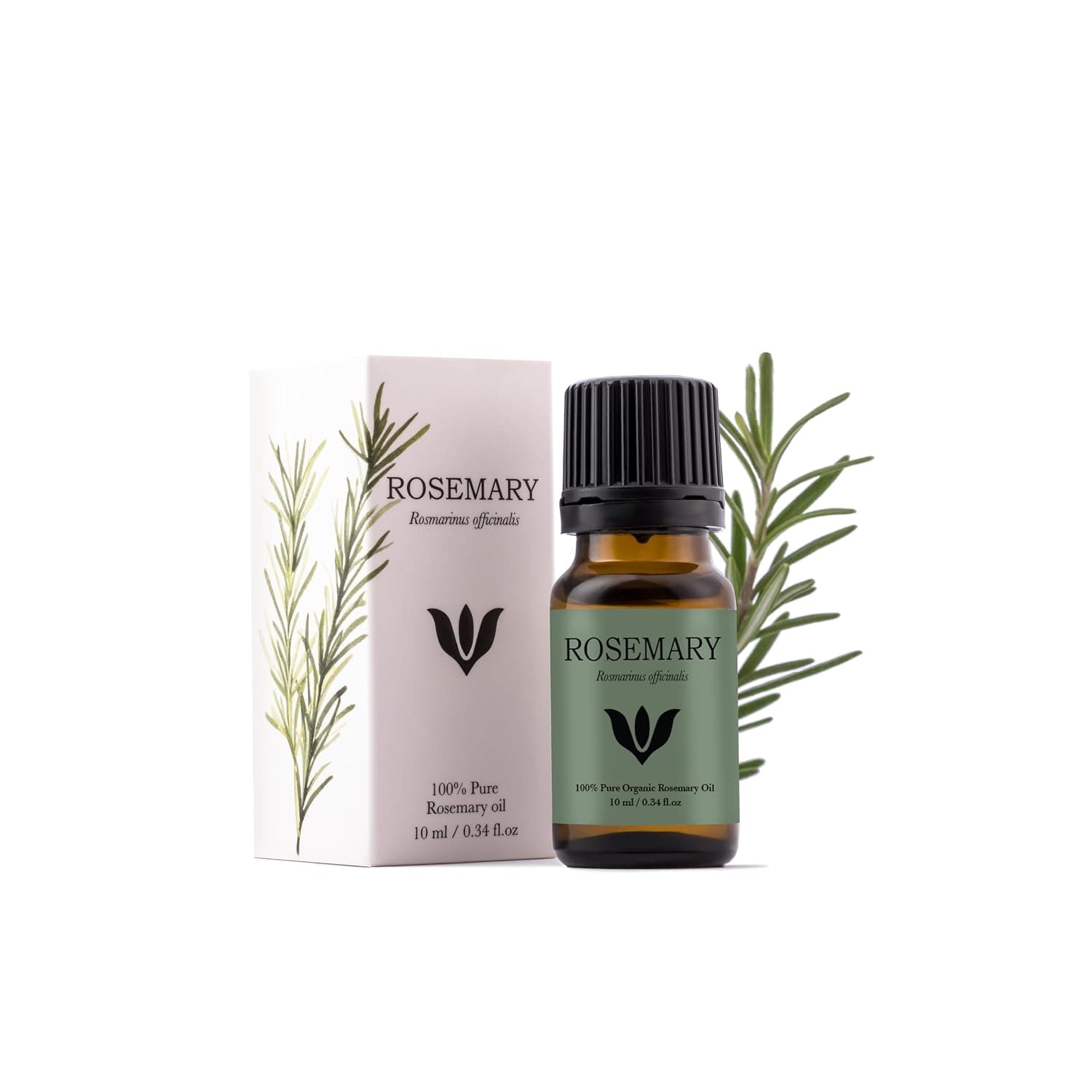 Rosemary Essential Oil | 100% Pure and Organic | Steam Distillate | Aromatherapy for Hair, Diffuser, Concentration and Natural Energy | Vegan - 10 ml