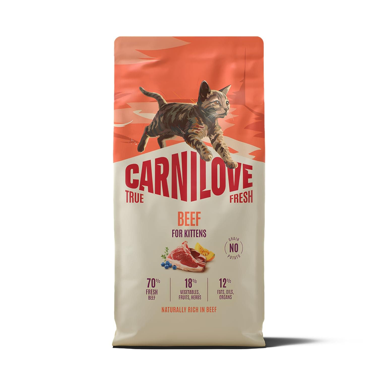 Carnilove True Fresh Beef Dry Food for Kitten 6KG