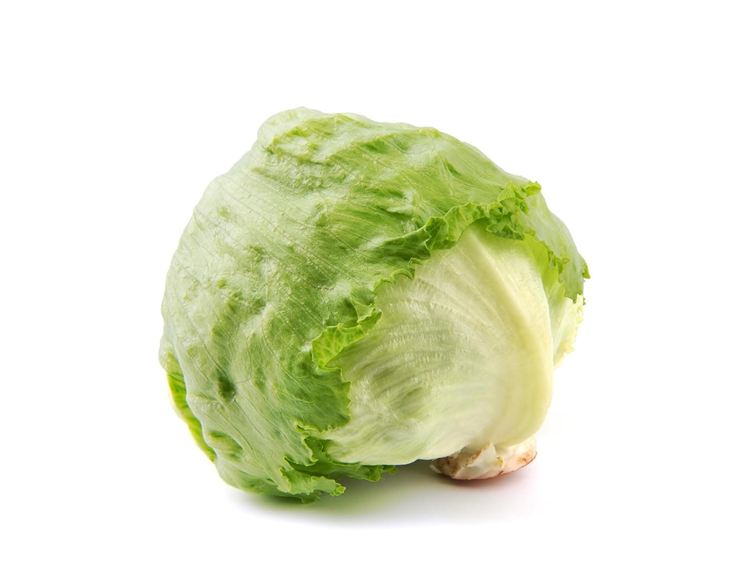 Fresh Lettuce Iceberg Import 1pc