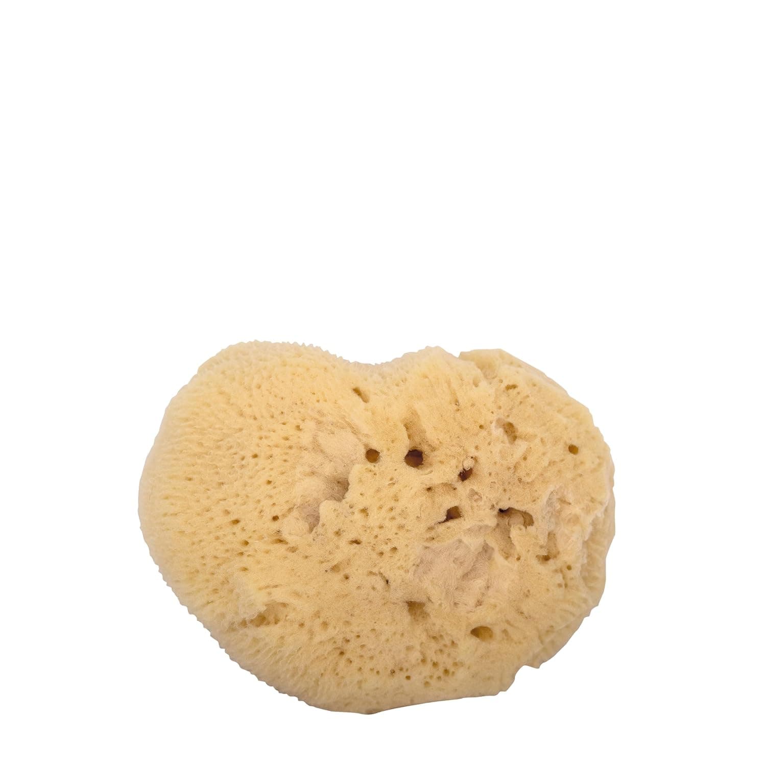 Niyok® Baby & Children's Natural Sponge • Soft Natural Bath Sponge • Sustainable Body Sponge for Babies • Plastic-Free & Biodegradable • Natural Sponge from Europe • Sea Sponge