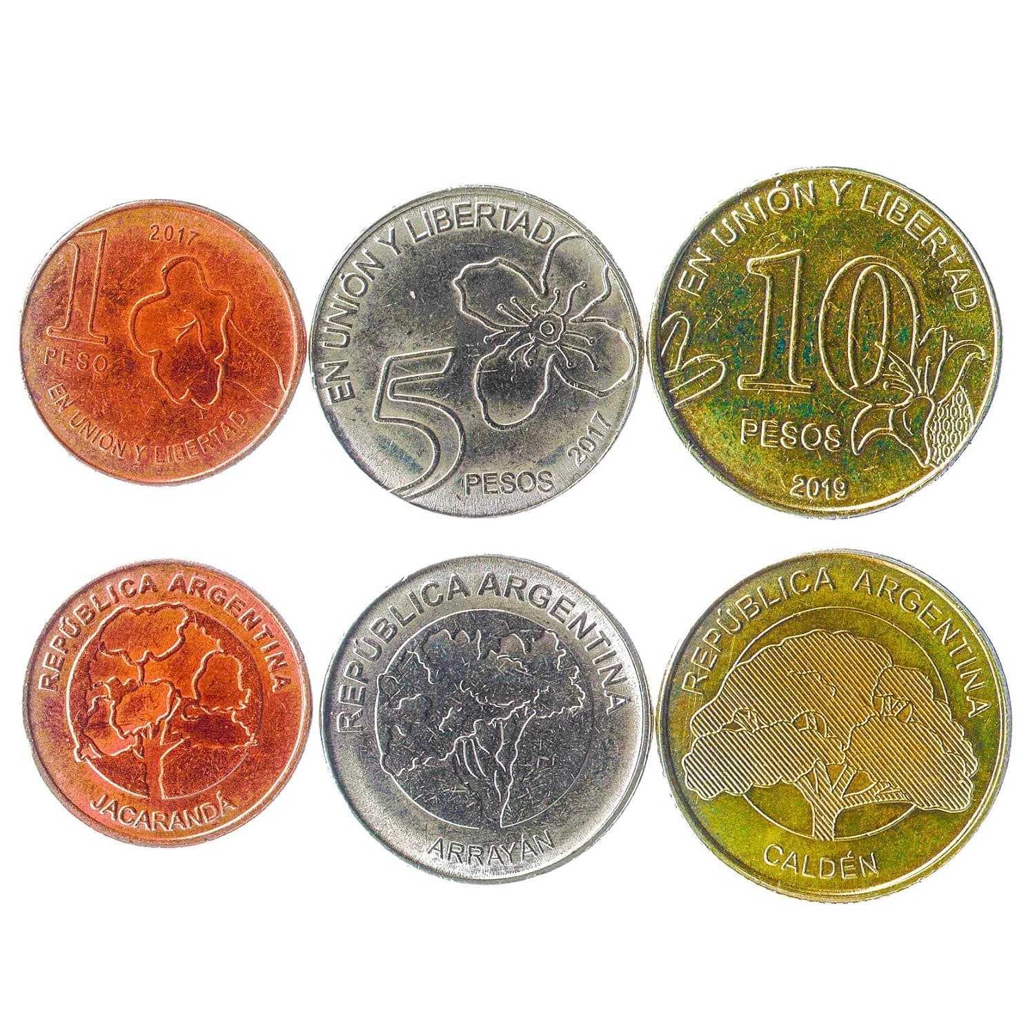 3 Coins from Argentina | Argentine Coin Set Collection 1 5 10 Pesos | Circulated 2017-2020 | Jacaranda | Jacaranda | Caldenia | Arrayan
