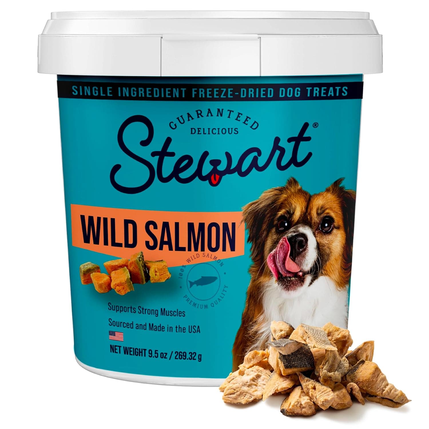 Stewart Freeze Dried Dog Treats, 100% Wild Salmon, 9.5 oz Tub | Premium Quality Raw Protein, Single Ingredient, High Protein Training Treats & Food Topper, No Refrigeration, Cat Friendly