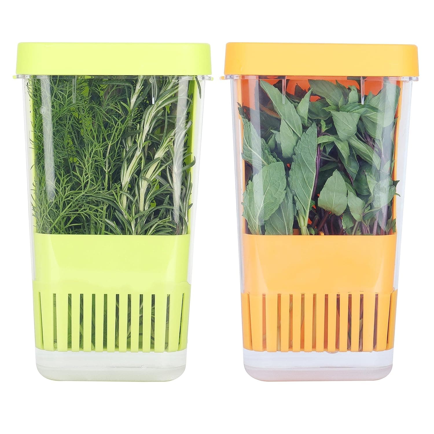 Fresh Herb Keeper for Refrigerator, Clear BPA-Free Herb Saver, Storage Container for Cilantro, Parsley, Thyme, Mint & Asparagus, Preserver Keeps Fresh Herbs for 3 Times Longer, Green & Orange
