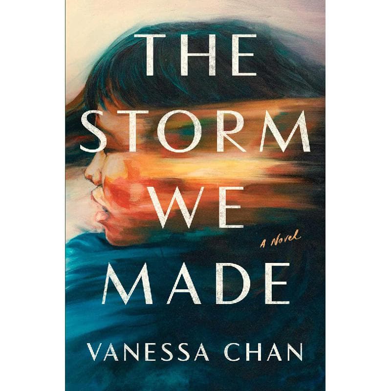 The Storm We Made - A Novel