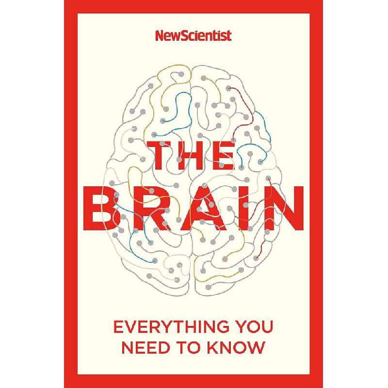 The Brain - Everything You Need to Know