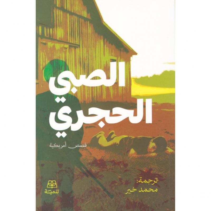 الصبي الحجري