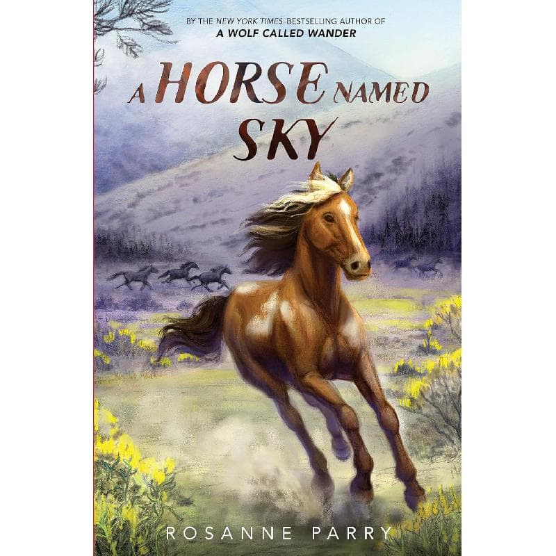 Horse Named Sky