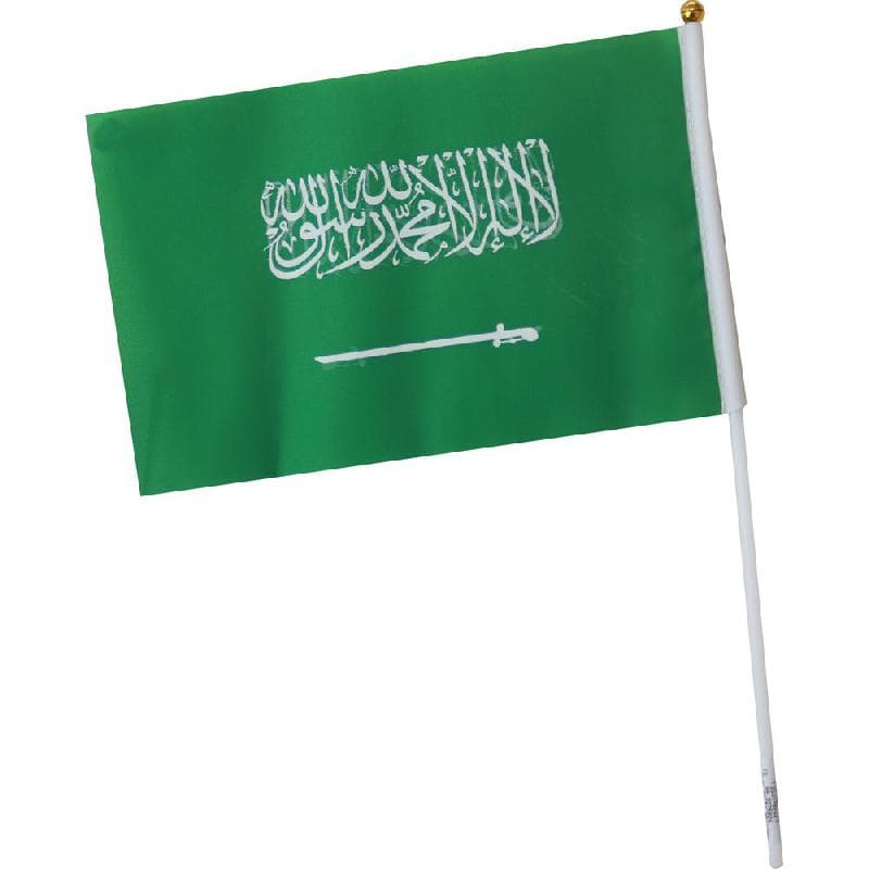 Flag 24x16 National Day Novelty