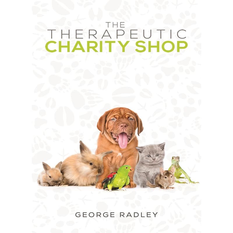 The Therapeutic Charity Shop, eBook