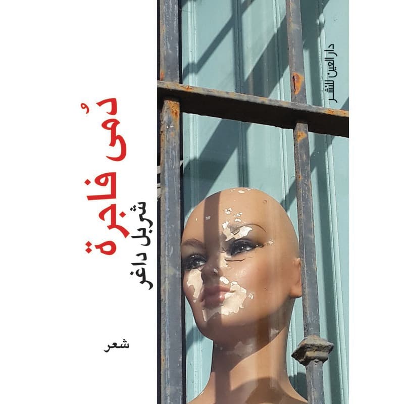 دمى فاجرة, eBook