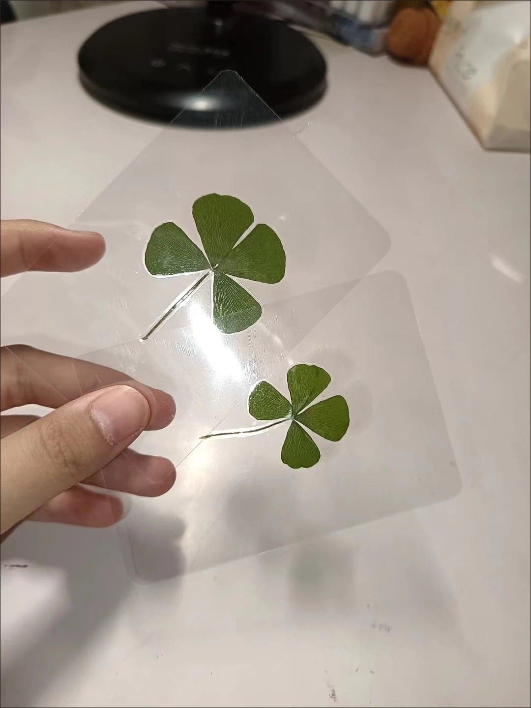 Cute Lucky Four-Leaf Clover Natural Raw Grass Transparent Card New Bookmark Wishing Cure Fresh Simple Style Transparent Card