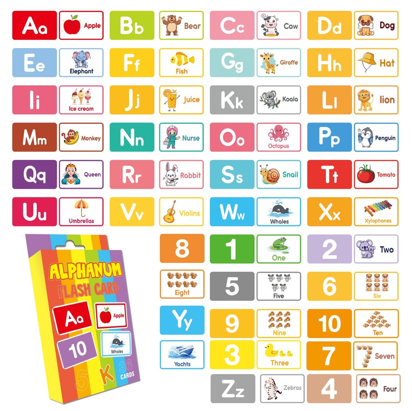 Kids Early Education Digital Flash Cards – Picture-Based Learning Card Set for Toddlers | Alphabet & Number Recognition, Early Literacy & Screen-Free Educational – Alphabet & Numbers