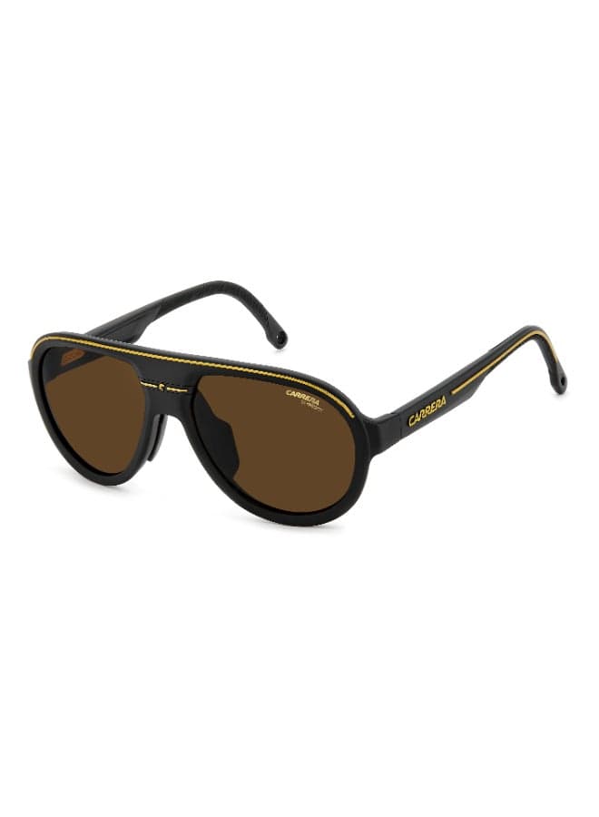 Pilot Carrera Sunglasses