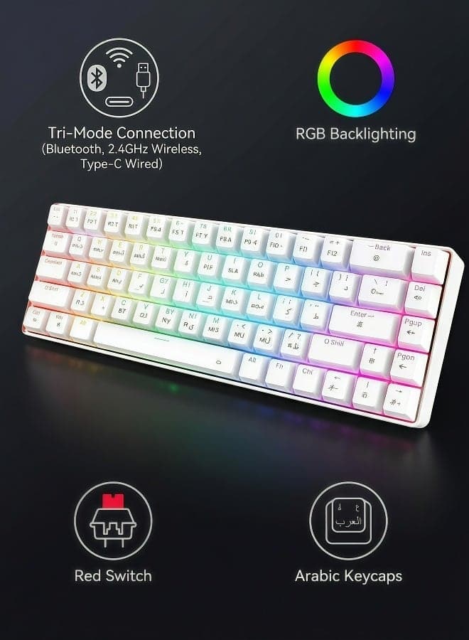 Keyboard, gaming keyboard, mechanical keyboard, red axis, RGB backlight, multi-mode wireless Bluetooth connection, Arabic keycap, 68 key hot swappable shaft body, anti ghost key, Arabic keyboard, (12.2 x 3.9 inches) 2000mAh long-lasting rechargeable battery, white keyboard