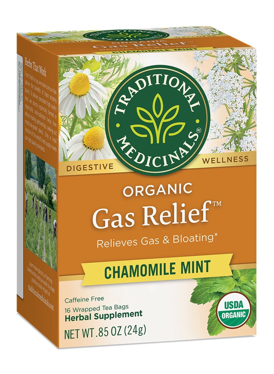 Organic Gas Relief, Chamomile Mint, Caffeine Free, 16 Tea Bags