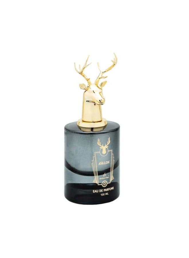 Avalon Perfume 100ML – Leather Oud Amber Musk Woody Long Lasting Arabian Fragrance for Men & Women