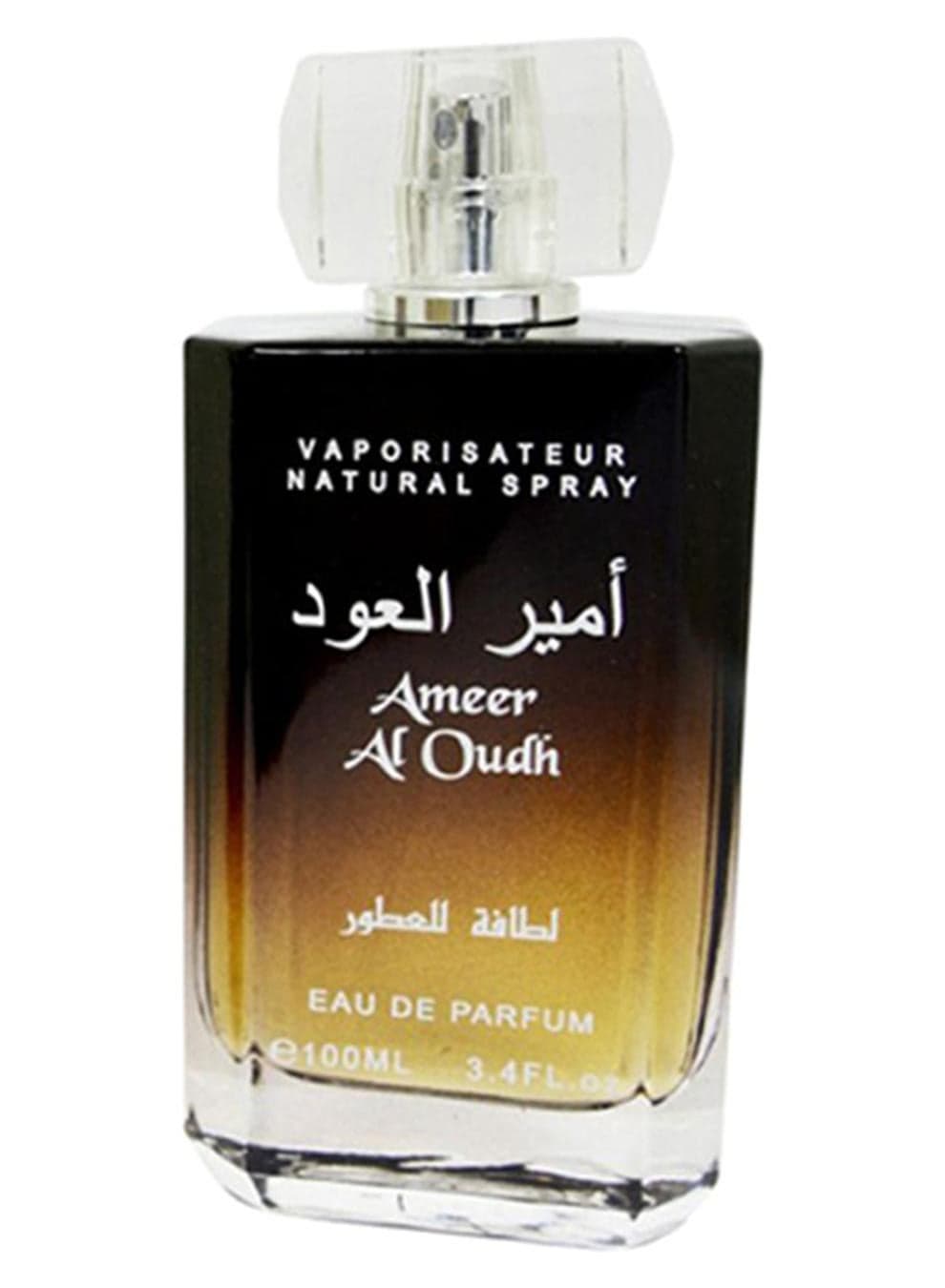 Ameer Al Oud EDP 100ml