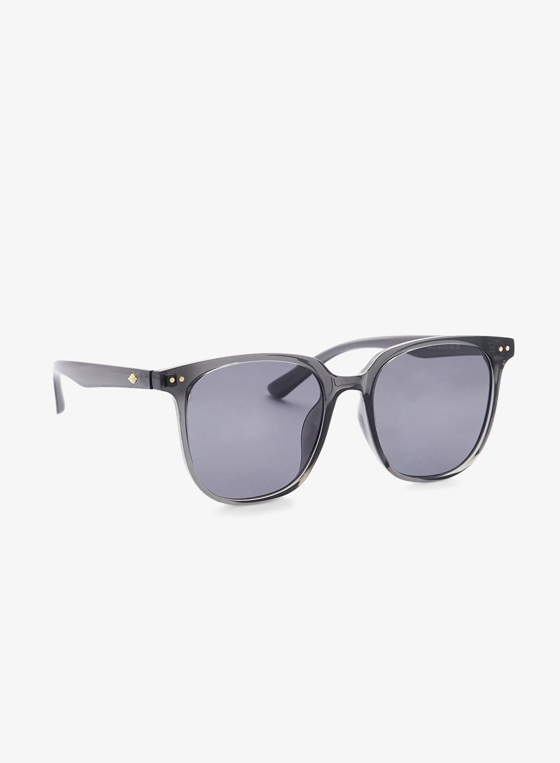 Polarized Lens Wayfarer Sunglasses