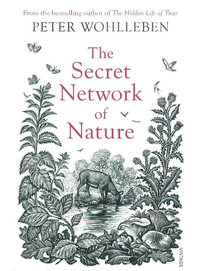 The Secret Network Of Nature