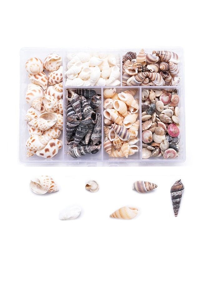 100PCS Open Back Natural Spiral Shell Beads, Spiral Conch Shells Charms, Beach Seashells Beads, Suitable For DIY Craft Jewelry Making ,Home Or Wedding Decoration