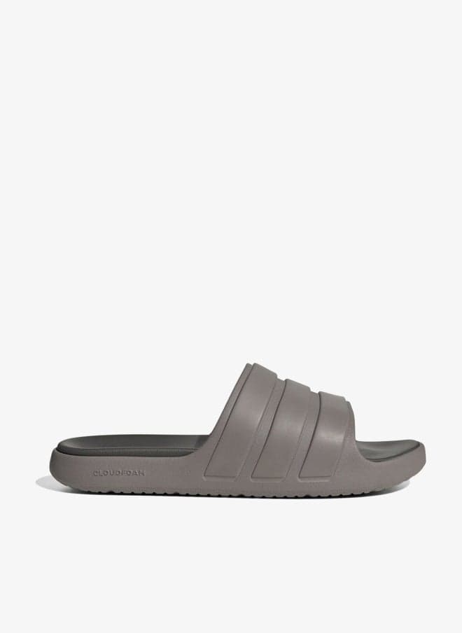 Znsory Slides