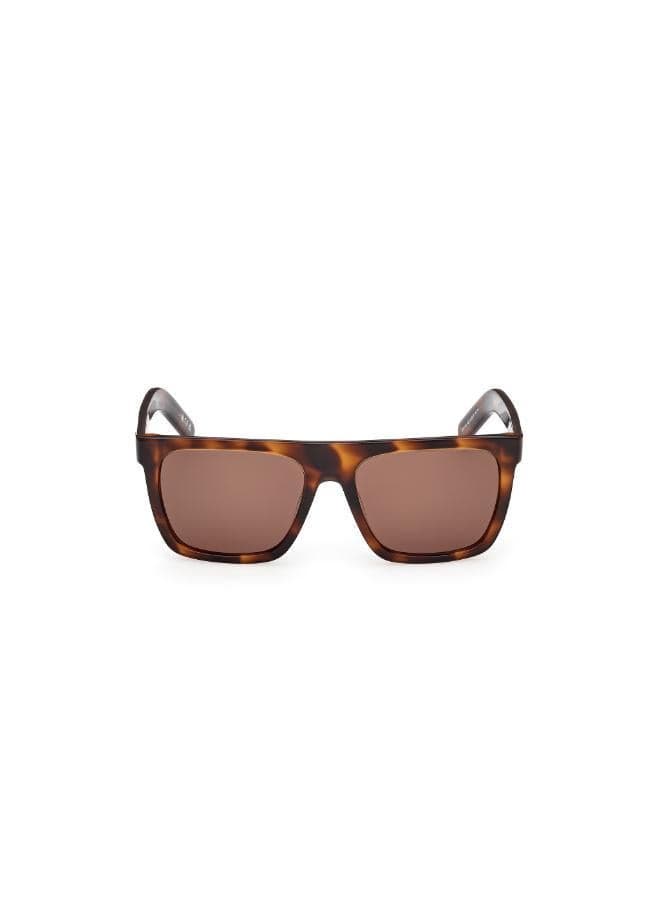 wayfarers sunglasses