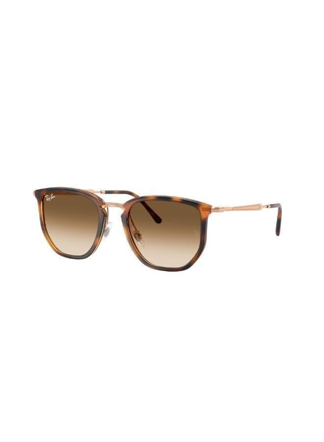 0Rb4451 Irregular Sunglasses