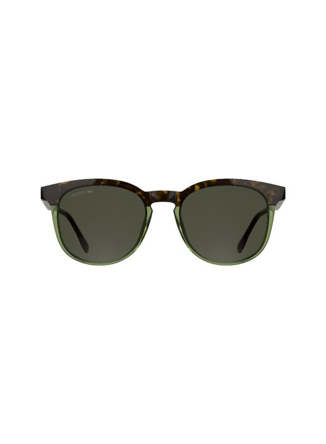 FULL RIM INJECTED LACOSTE SUNS L6073S 5219 (223) HAVANA/TRANSPARENT LIGHT GREEN